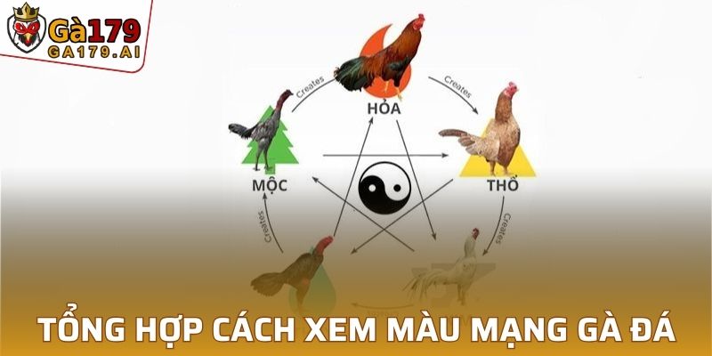 Các cách xem màu mạng đá gà hay nhất cho sư kê