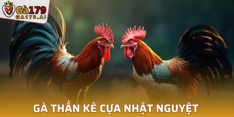 Khám phá chiến binh có cựa nhật nguyệt