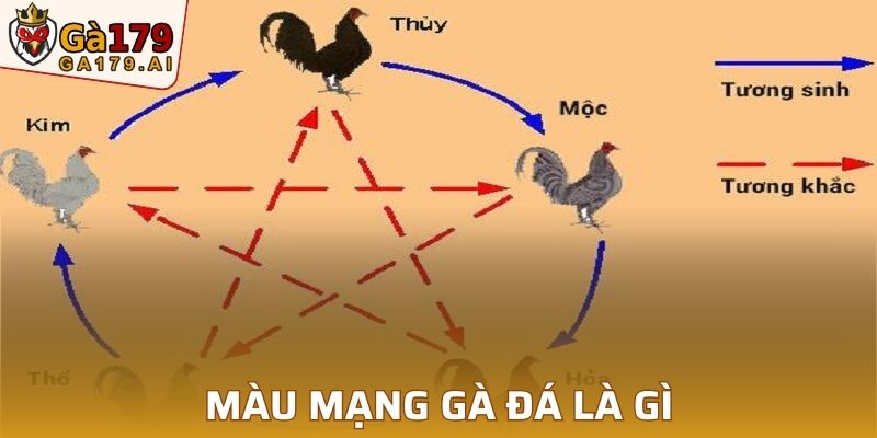 Giới thiệu cơ bản về màu mạng gà đá là gì