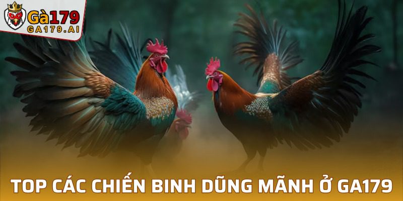 Sự khác biệt giữa dũng sĩ thần kê với gà chiến thông thường