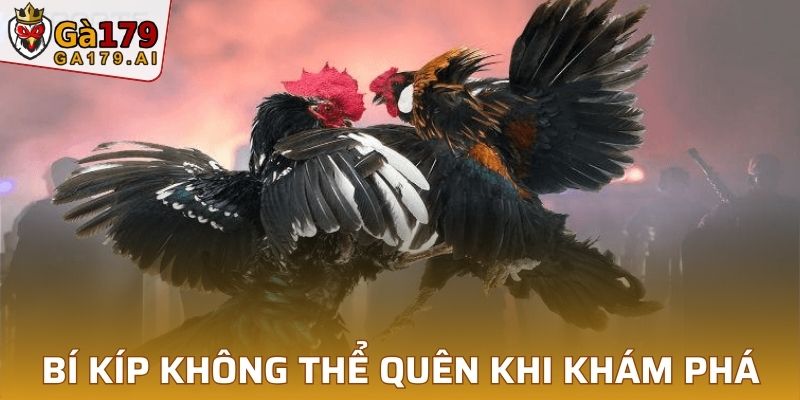 Bí kíp không thể quên khi khám phá