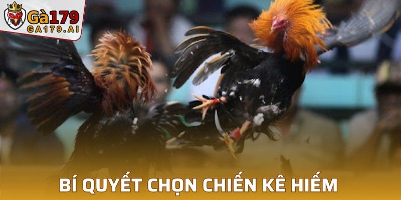 Bí quyết chọn chiến kê hiếm