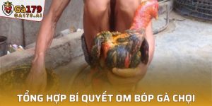 Bí Quyết Om Bóp Gà Chọi