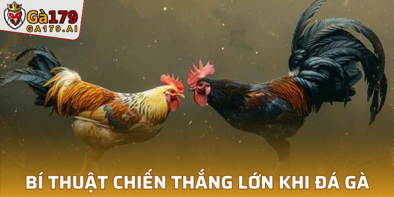 Bí quyết thắng lớn khi sử dụng luật chọi kê