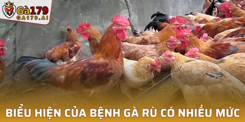 Biểu hiện của bệnh gà rù có nhiều mức độ khác nhau