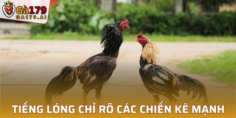 Các chiến binh được gọi bằng các tiếng lóng khác nhau