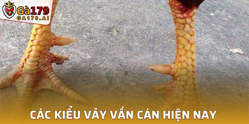 Các kiểu vảy vấn cán hiện nay