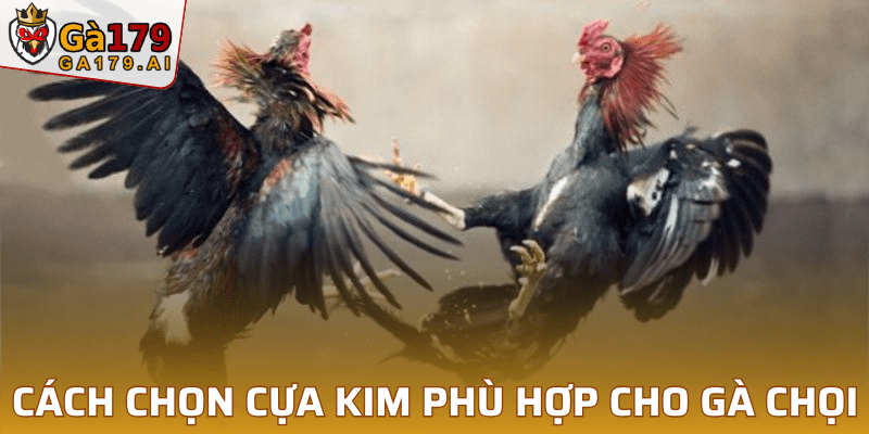 Cách chọn cựa kim phù hợp cho gà chọi