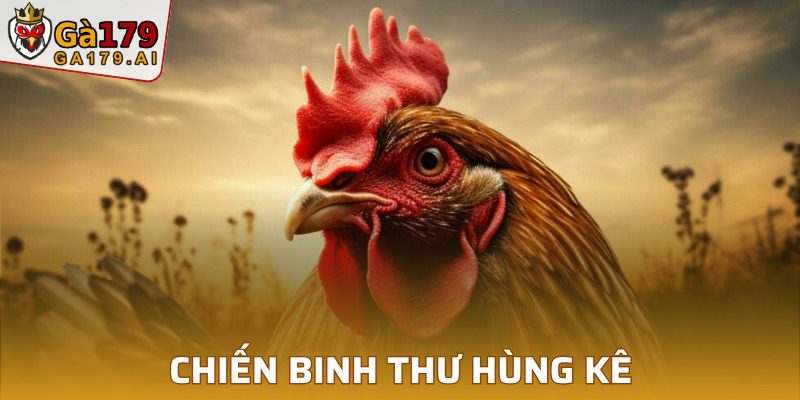 Chiến binh thư hùng kê dũng mãnh, đẳng cấp