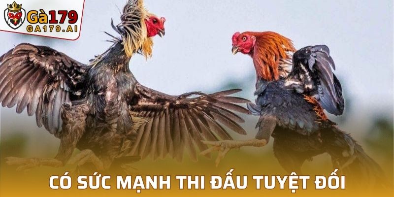 Có sức mạnh thi đấu tuyệt đối