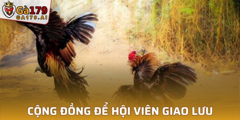 Cộng đồng để hội viên giao lưu