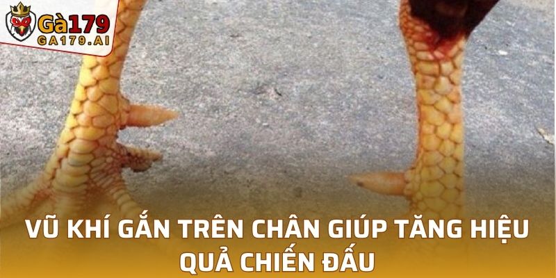 Vũ khí gắn trên chân giúp tăng hiệu quả chiến đấu