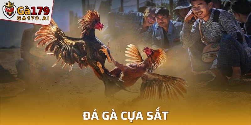 Đá Gà Cựa Sắt