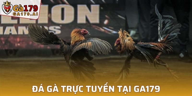 Đá Gà Trực Tuyến