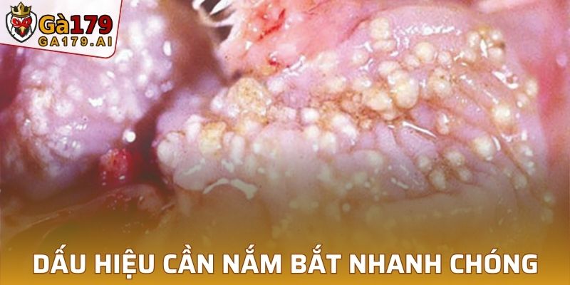 Dấu hiệu cần nắm bắt nhanh chóng