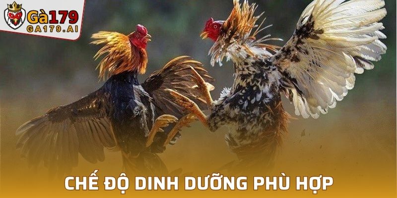 Chế độ dinh dưỡng phù hợp