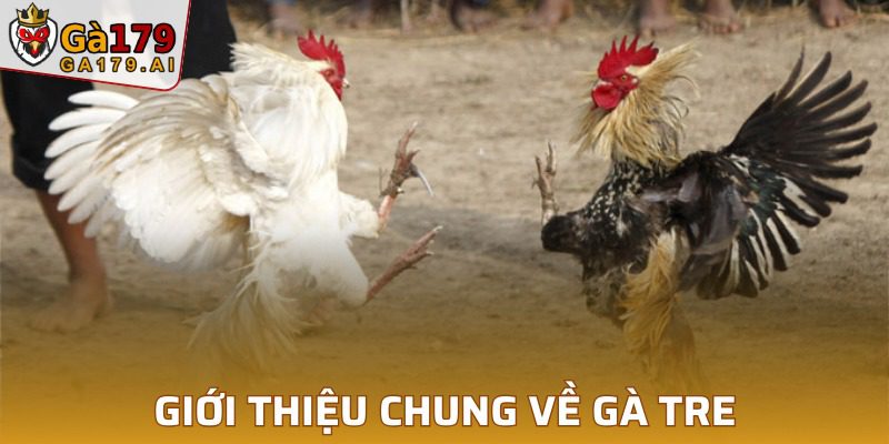 Đôi nét về gà tre phổ biến nhất hiện nay