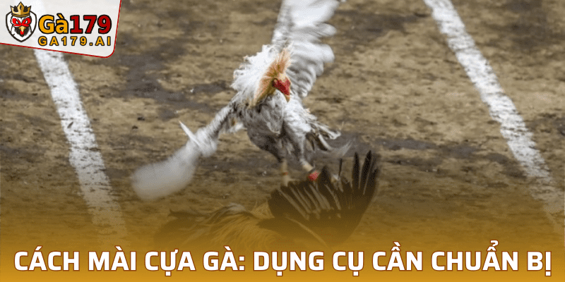 Cách mài cựa gà: dụng cụ cần chuẩn bị