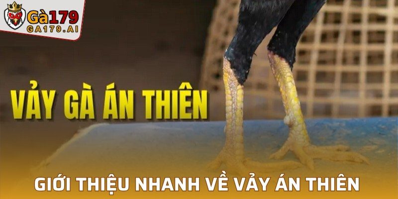 Giới thiệu nhanh về vảy án thiên