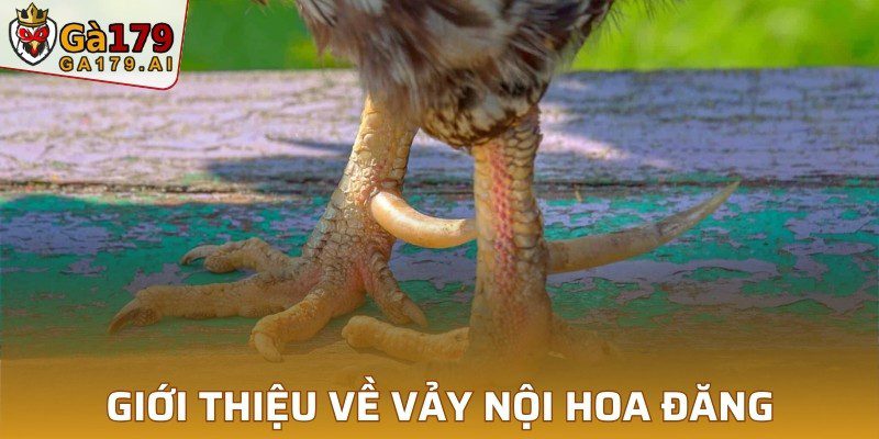 Giới thiệu tổng quát về vảy nội hoa đăng