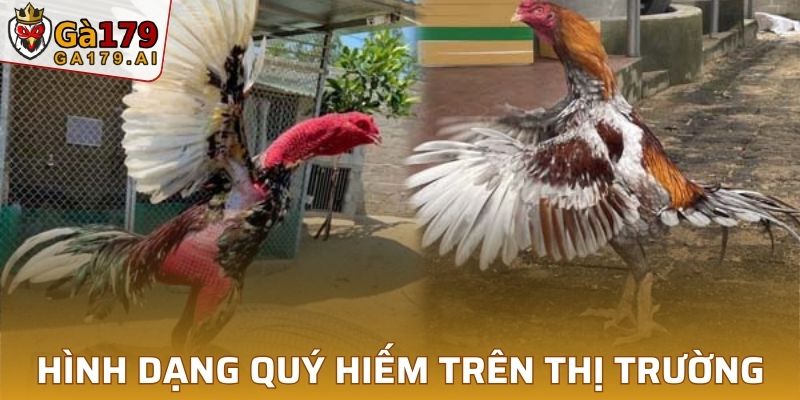 Hình dạng quý hiếm trên thị trường