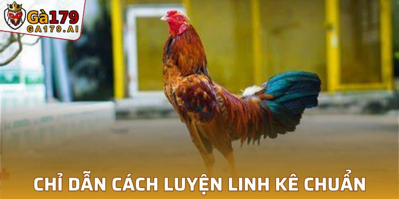 Hướng dẫn cách rèn luyện để tạo nên một chiến binh thực thụ