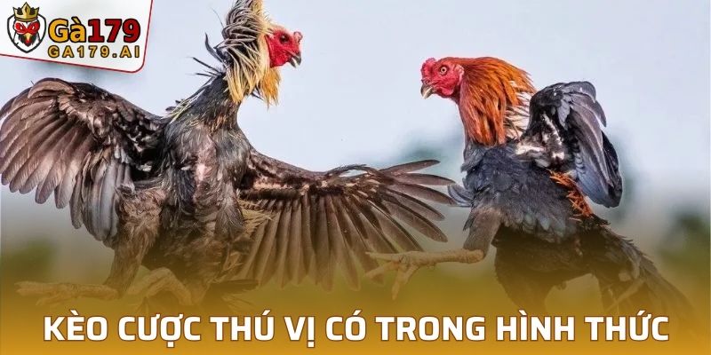 Kèo cược thú vị có trong hình thức