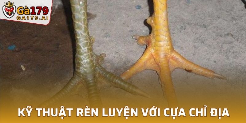 Kỹ thuật rèn luyện với cựa chỉ địa