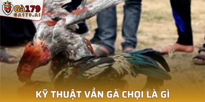 Tác dụng của các kỹ thuật vần gà chọi trong thời điểm hiện tại