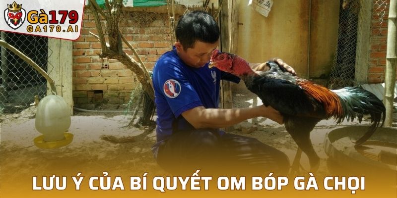 Lưu ý thực hiện bí quyết om bóp gà chọi cho tân thủ ngày nay