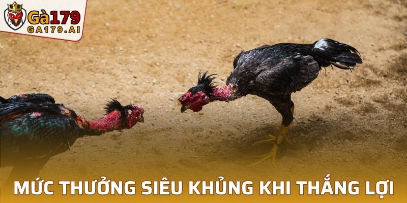 Mức thưởng siêu khủng khi thắng lợi