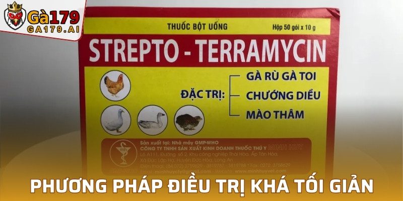 Phương pháp điều trị khá tối giản