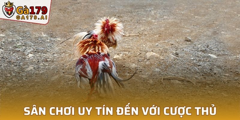 Sân chơi uy tín đến với cược thủ