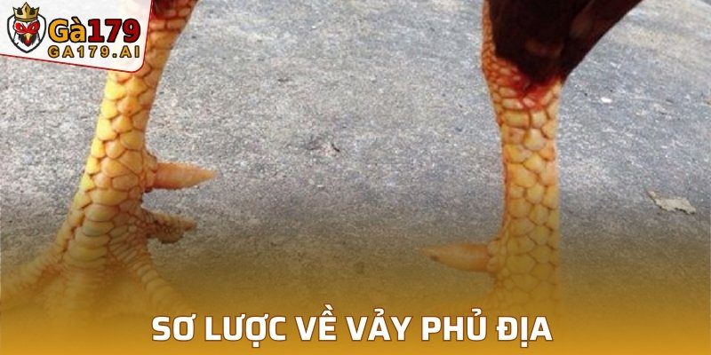 Sơ lược về vảy phủ địa