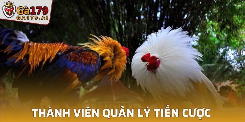 Thành viên quản lý tiền cược hiệu quả