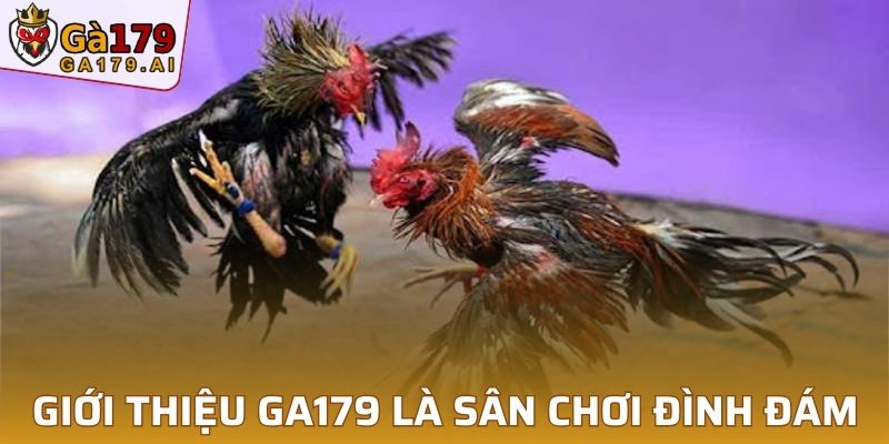 Thông tin giới thiệu GA179 sân chơi đình đám bậc nhất