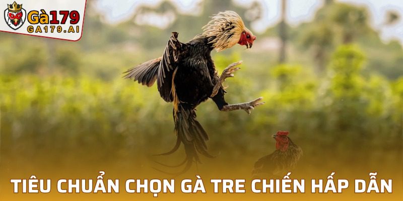 Tiêu chuẩn lựa chọn kê chiến chính xác nhất hiện nay