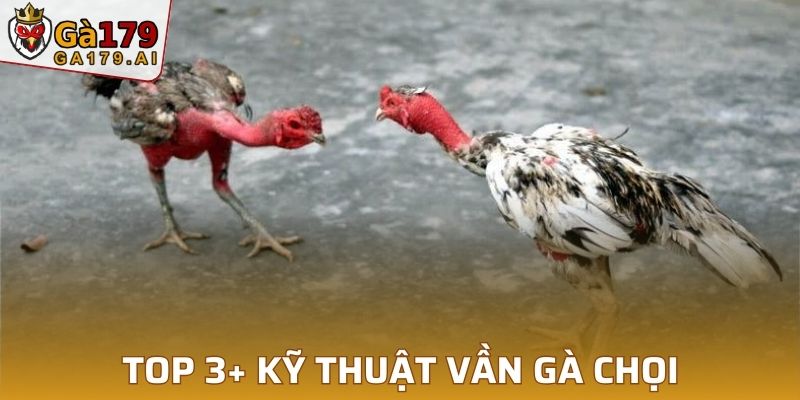 Top 3+ kỹ thuật vần gà chọi hiệu quả nhất