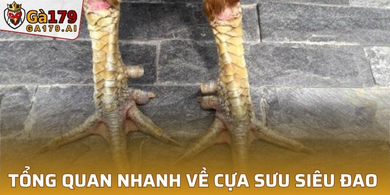 Tổng quan nhanh về cựa sưu siêu đao