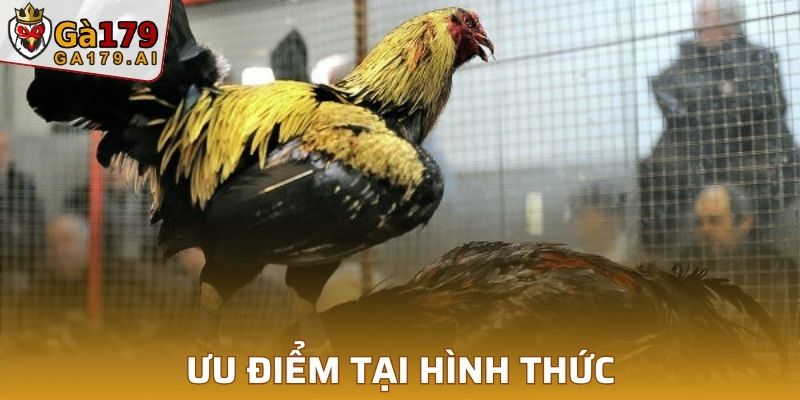 Ưu điểm không thể bỏ qua tại hình thức