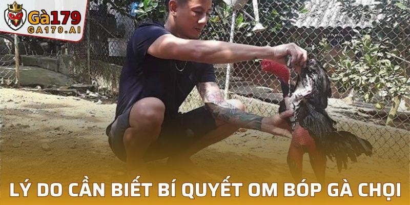 Vì sao nên nắm vững các bí quyết om bóp gà chọi hiện tại